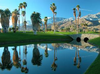 Picture of a random Palm Springs golf course